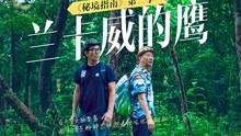 观察者
