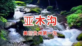 失落的星球3