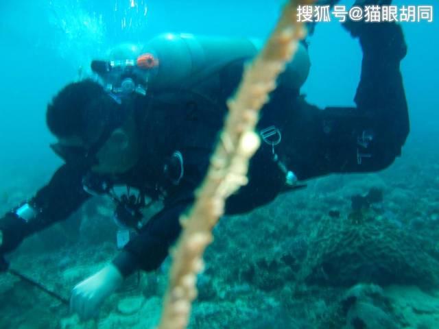 礼县召开数字政府服务能力提升推进会