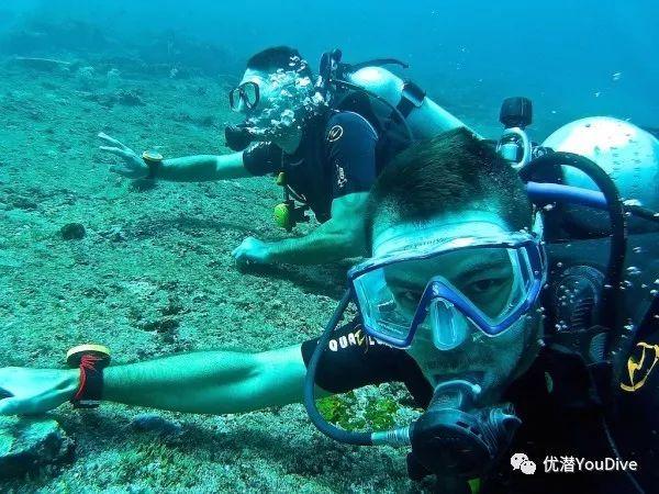 美国约70家公司正在发展先进核反应堆，其中六七家已与监管机构合作