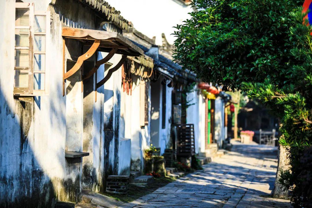 独自旅行，国内有哪些性价比较高的旅游目的地可以推荐？游戏画面